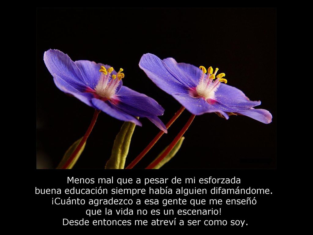 Menos mal que a pesar de mi esforzada buena educación siempre había alguien difamándome.