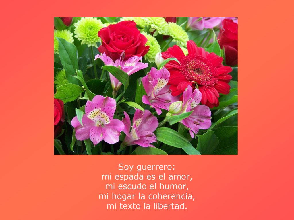 Soy guerrero: mi espada es el amor, mi escudo el humor, mi hogar la coherencia, mi texto la libertad.