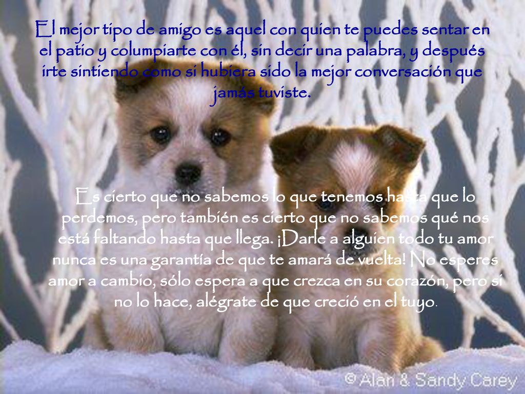 El mejor tipo de amigo es aquel con quien te puedes sentar en el patio y columpiarte con él, sin decir una palabra, y después irte sintiendo como si hubiera sido la mejor conversación que jamás tuviste.