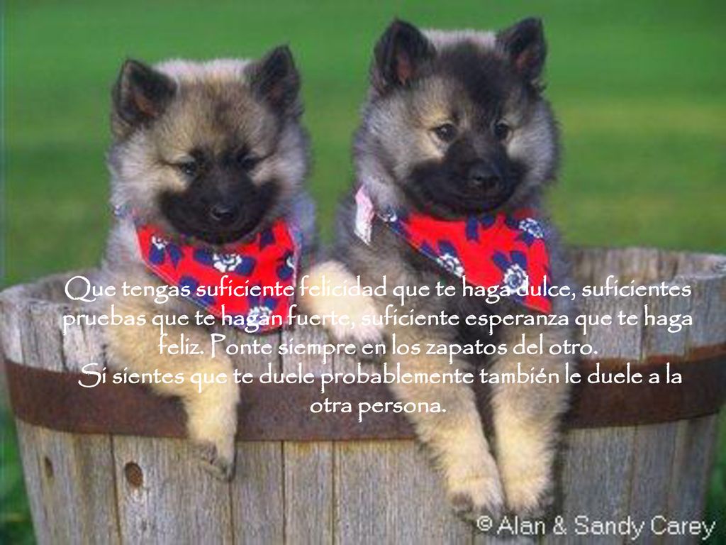 Que tengas suficiente felicidad que te haga dulce, suficientes pruebas que te hagan fuerte, suficiente esperanza que te haga feliz.