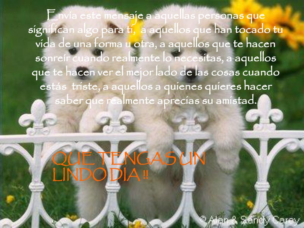 Envía este mensaje a aquellas personas que significan algo para ti, a aquellos que han tocado tu vida de una forma u otra, a aquellos que te hacen sonreír cuando realmente lo necesitas, a aquellos que te hacen ver el mejor lado de las cosas cuando estás triste, a aquellos a quienes quieres hacer saber que realmente aprecias su amistad.