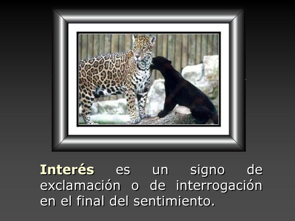 Interés es un signo de exclamación o de interrogación en el final del sentimiento.