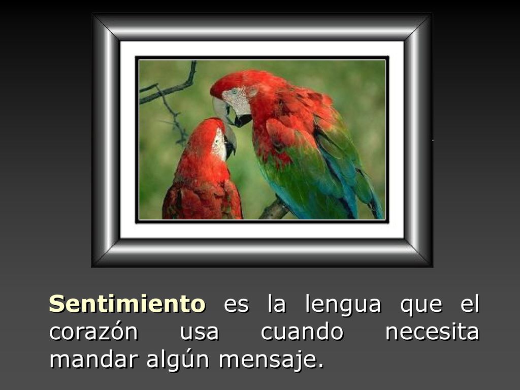 Sentimiento es la lengua que el corazón usa cuando necesita mandar algún mensaje.