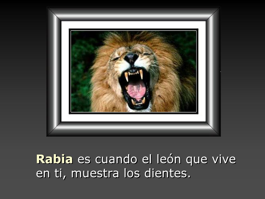 Rabia es cuando el león que vive en ti, muestra los dientes.
