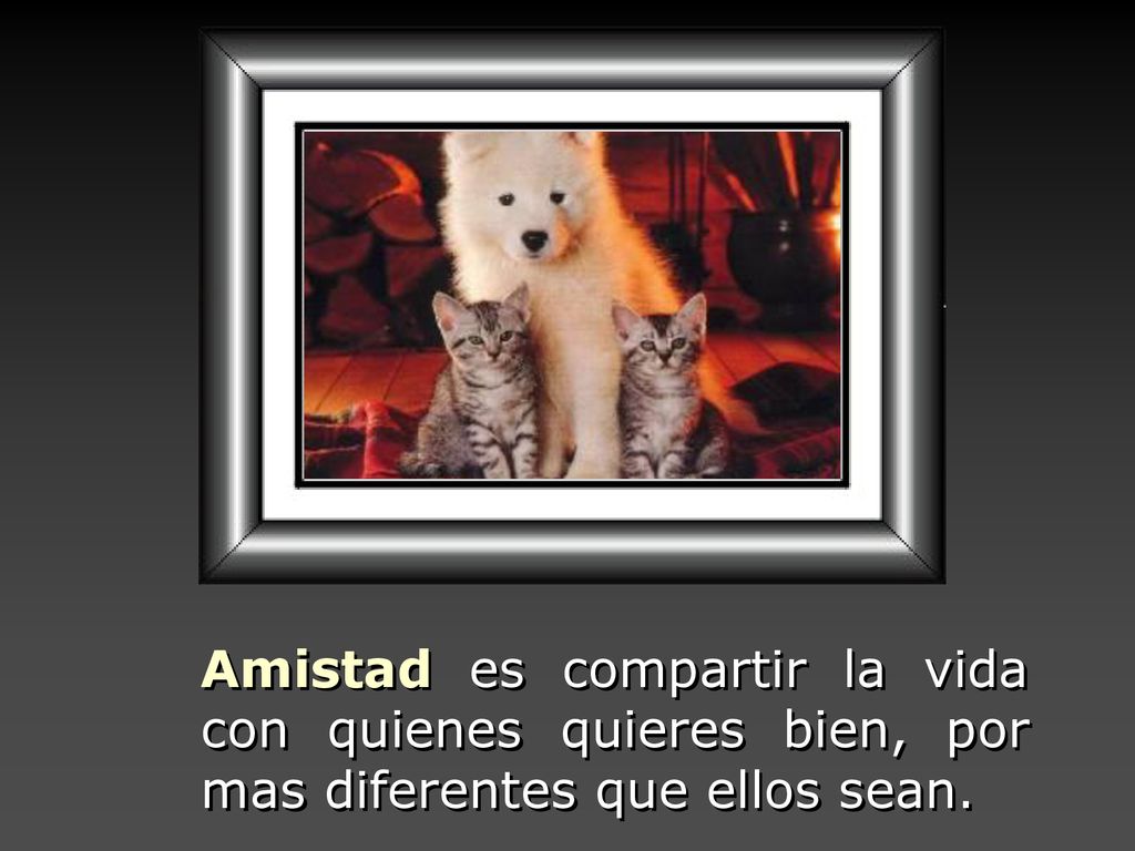Amistad es compartir la vida con quienes quieres bien, por mas diferentes que ellos sean.