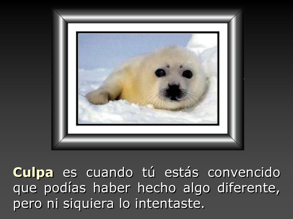 Culpa es cuando tú estás convencido que podías haber hecho algo diferente, pero ni siquiera lo intentaste.