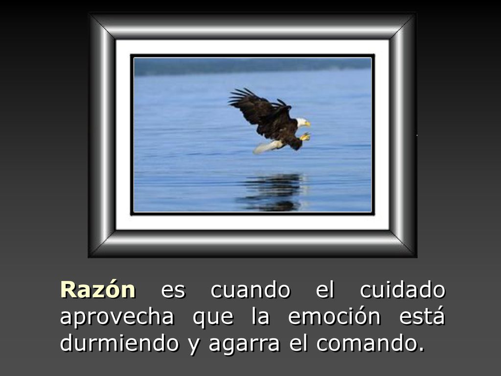 Razón es cuando el cuidado aprovecha que la emoción está durmiendo y agarra el comando.
