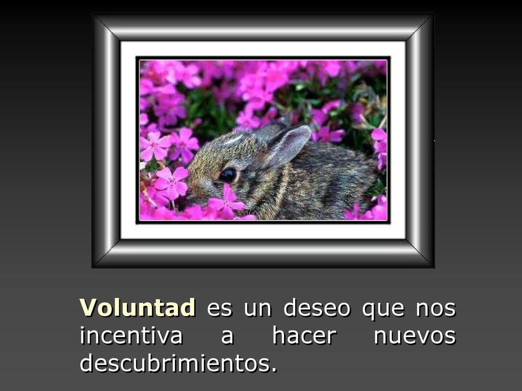 Voluntad es un deseo que nos incentiva a hacer nuevos descubrimientos.