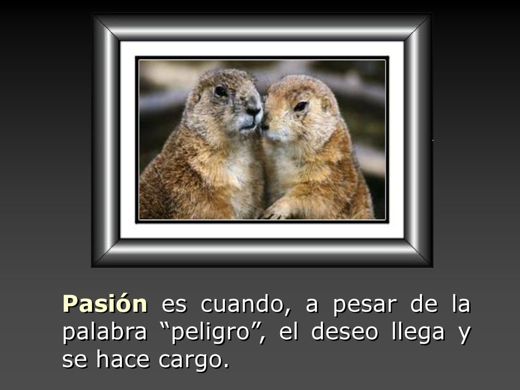 Pasión es cuando, a pesar de la palabra peligro , el deseo llega y se hace cargo.
