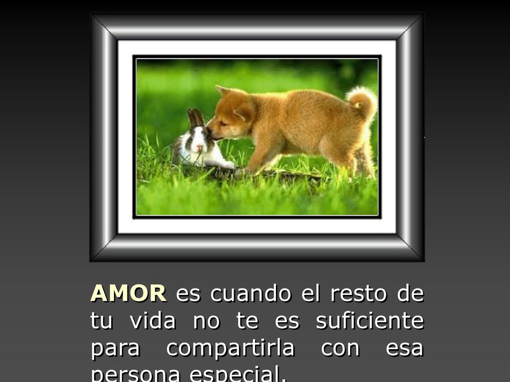 AMOR es cuando el resto de tu vida no te es suficiente para compartirla con esa persona especial.