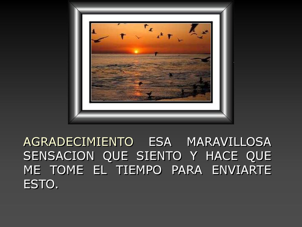 AGRADECIMIENTO ESA MARAVILLOSA SENSACION QUE SIENTO Y HACE QUE ME TOME EL TIEMPO PARA ENVIARTE ESTO.