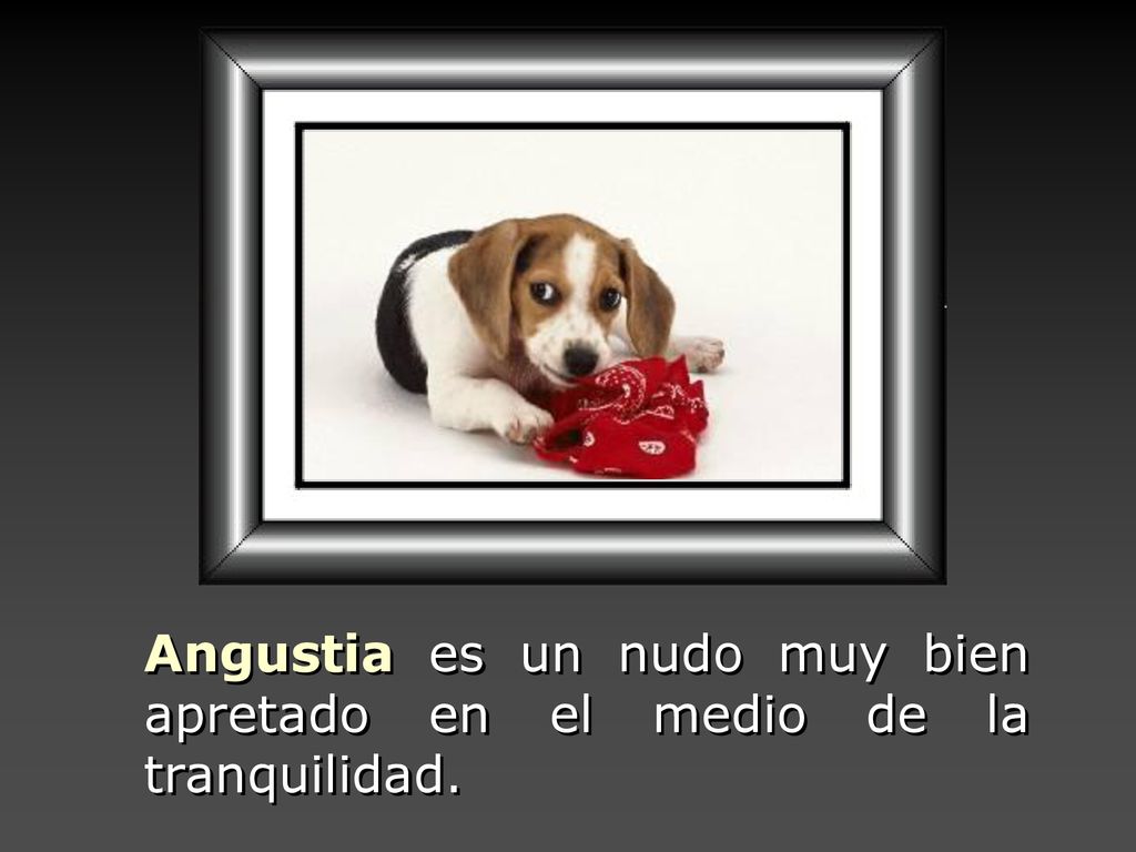 Angustia es un nudo muy bien apretado en el medio de la tranquilidad.