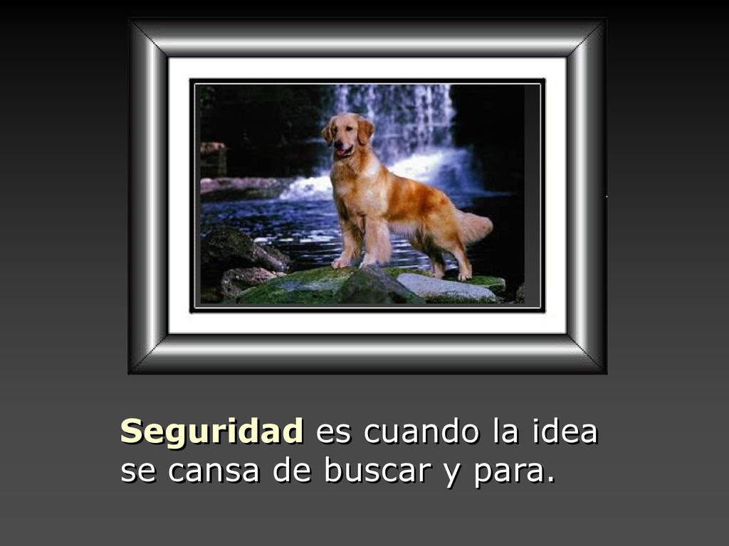 Seguridad es cuando la idea se cansa de buscar y para.