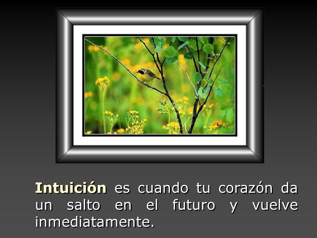 Intuición es cuando tu corazón da un salto en el futuro y vuelve inmediatamente.