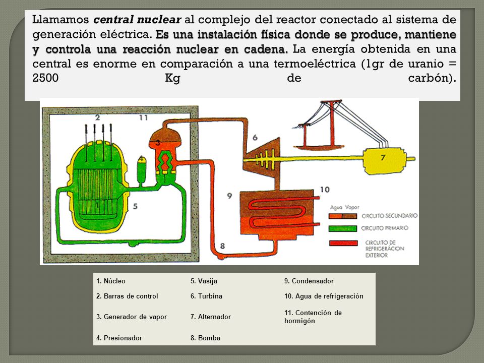 Llamamos central nuclear al complejo del reactor conectado al sistema de generación eléctrica. Es una instalación física donde se produce, mantiene y controla una reacción nuclear en cadena. La energía obtenida en una central es enorme en comparación a una termoeléctrica (1gr de uranio = 2500 Kg de carbón).