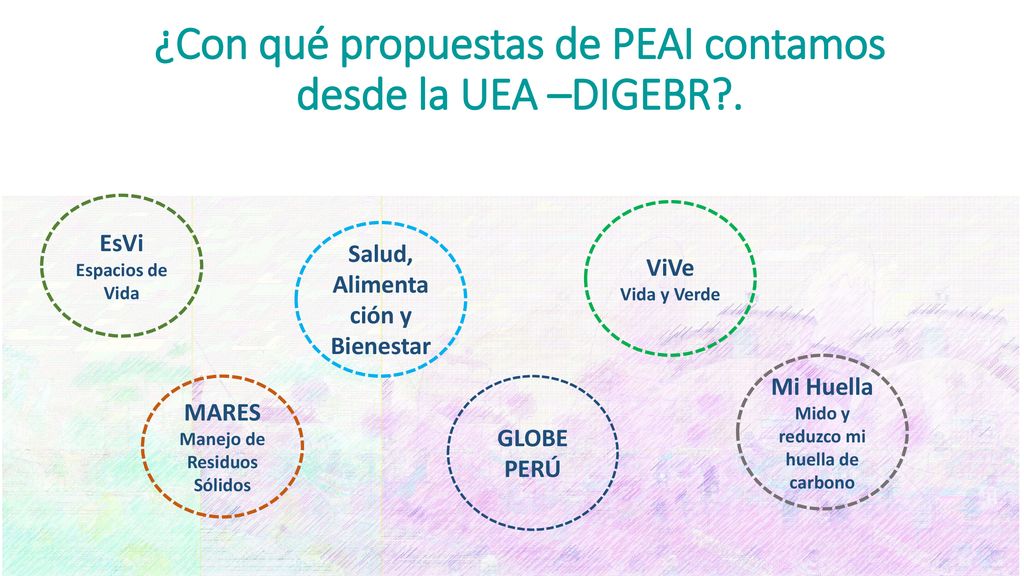 ¿Con qué propuestas de PEAI contamos desde la UEA –DIGEBR .