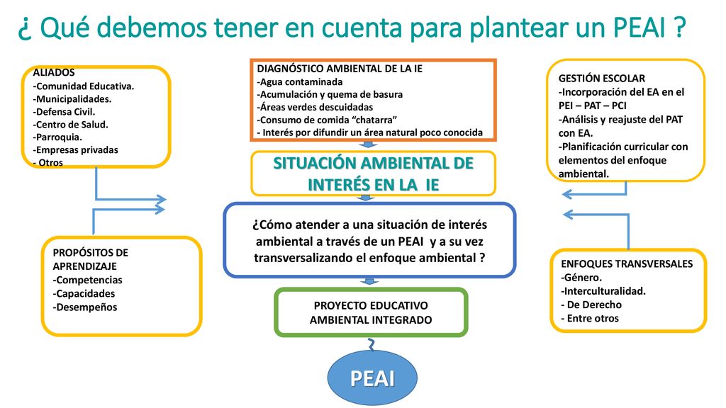 ¿ Qué debemos tener en cuenta para plantear un PEAI