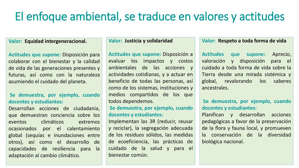 El enfoque ambiental, se traduce en valores y actitudes