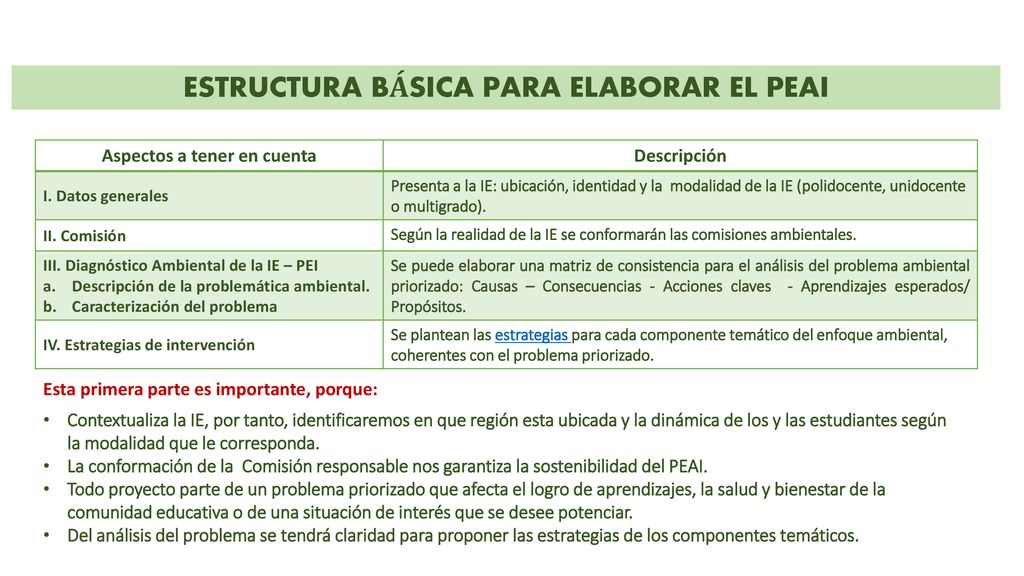 ESTRUCTURA BÁSICA PARA ELABORAR EL PEAI Aspectos a tener en cuenta