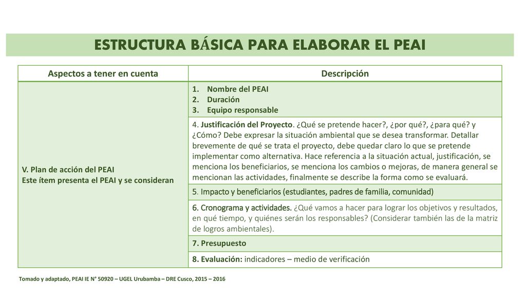 ESTRUCTURA BÁSICA PARA ELABORAR EL PEAI Aspectos a tener en cuenta