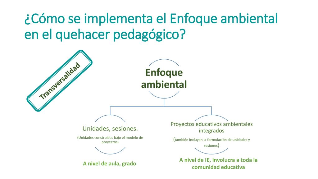 ¿Cómo se implementa el Enfoque ambiental en el quehacer pedagógico