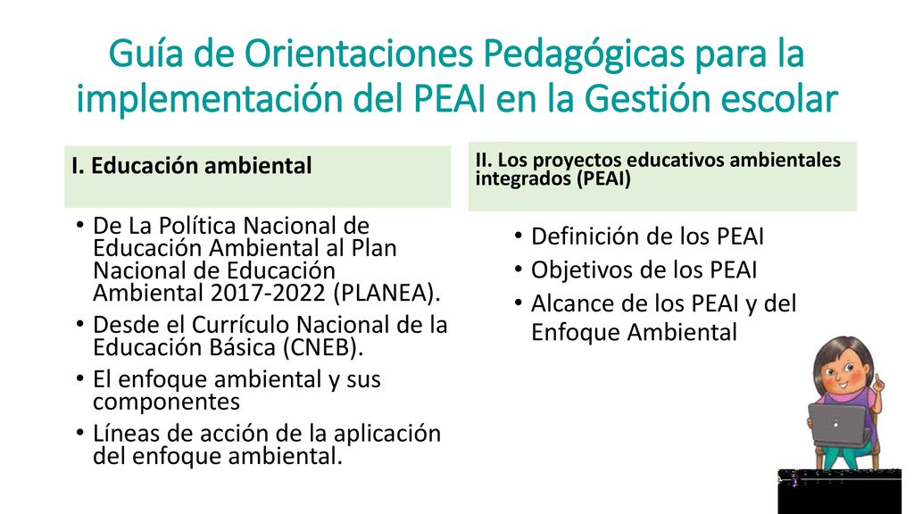 Guía de Orientaciones Pedagógicas para la implementación del PEAI en la Gestión escolar