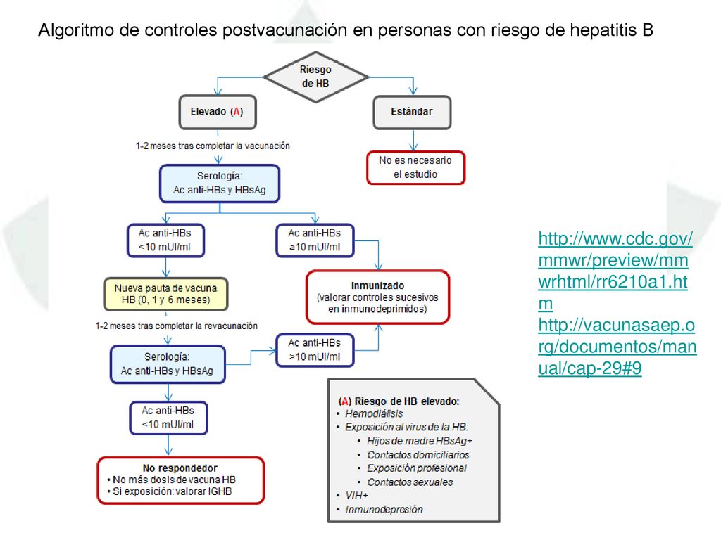 Algoritmo de controles postvacunación en personas con riesgo de hepatitis B