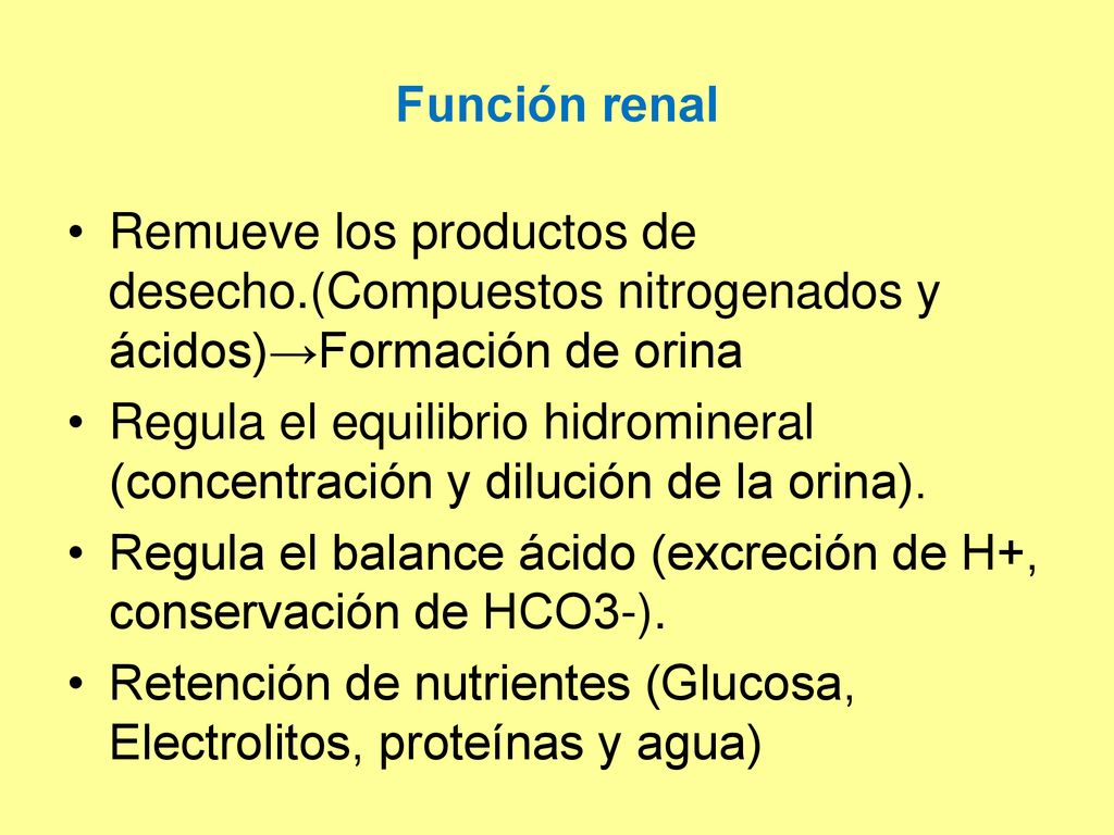 Función renal Remueve los productos de desecho.(Compuestos nitrogenados y ácidos)→Formación de orina.
