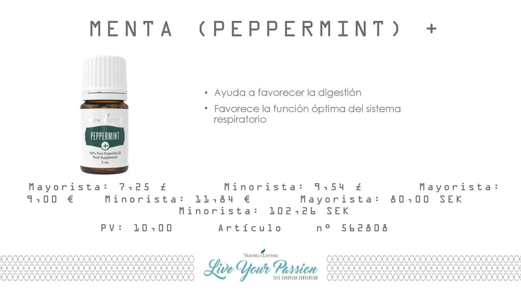 MENTA (PEPPERMINT) + Ayuda a favorecer la digestión. Favorece la función óptima del sistema respiratorio.