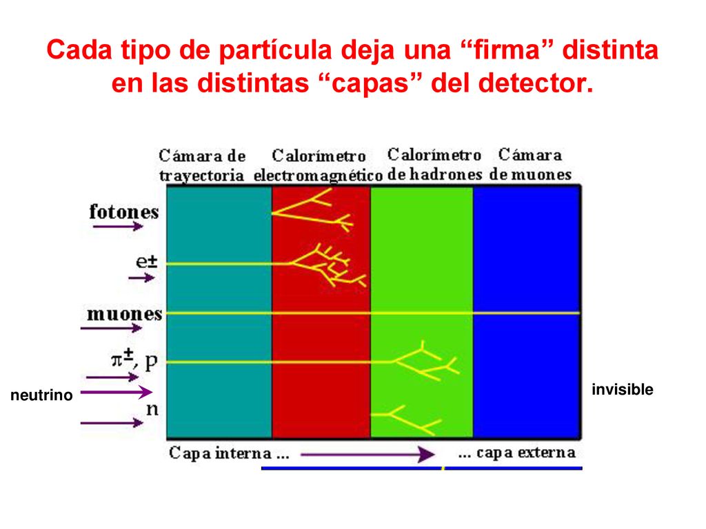 Cada tipo de partícula deja una firma distinta en las distintas capas del detector.