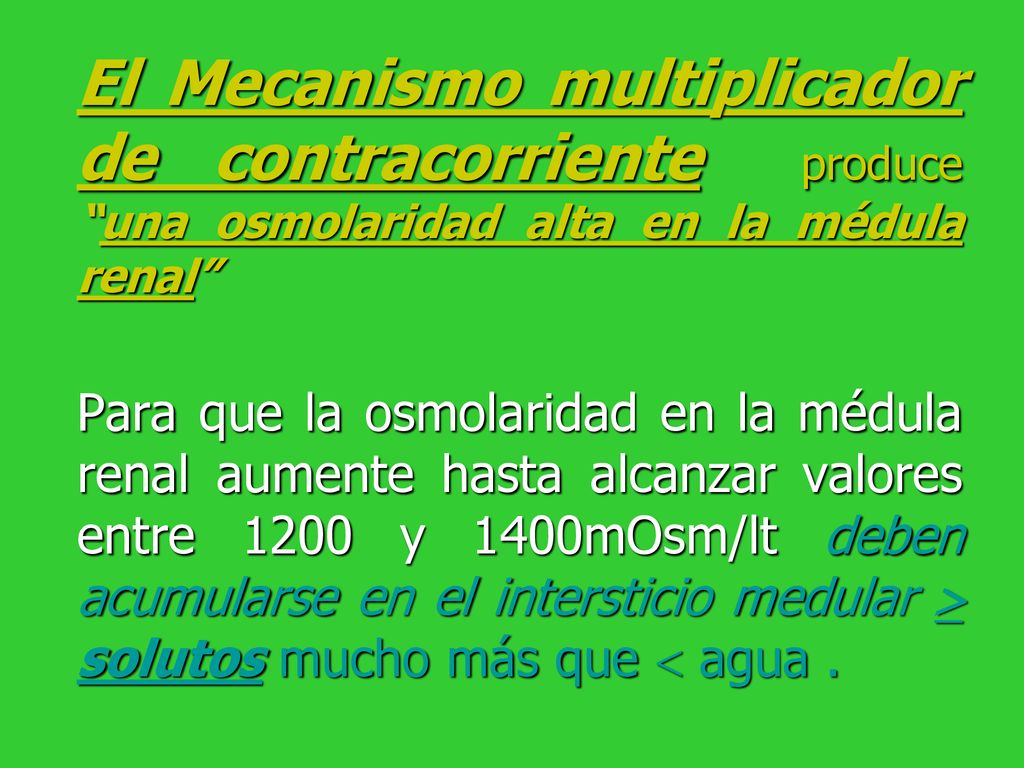 El Mecanismo multiplicador de contracorriente produce una osmolaridad alta en la médula renal