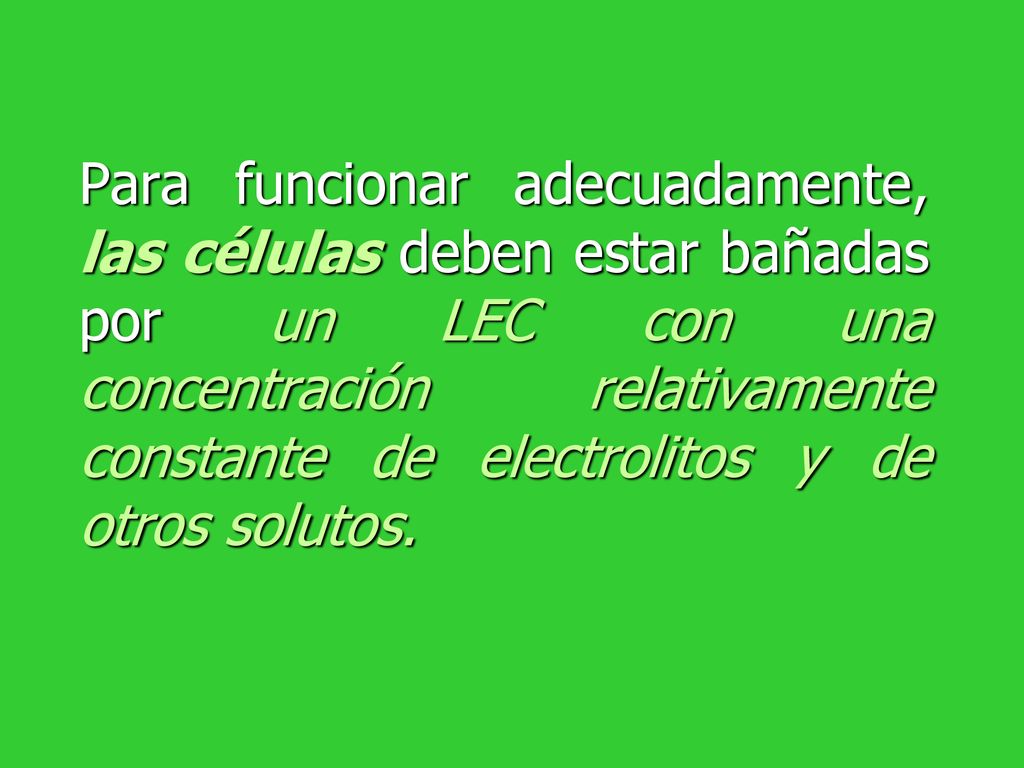 Para funcionar adecuadamente, las células deben estar bañadas por un LEC con una concentración relativamente constante de electrolitos y de otros solutos.