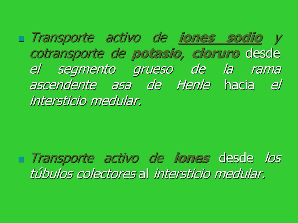 Transporte activo de iones sodio y cotransporte de potasio, cloruro desde el segmento grueso de la rama ascendente asa de Henle hacia el intersticio medular.
