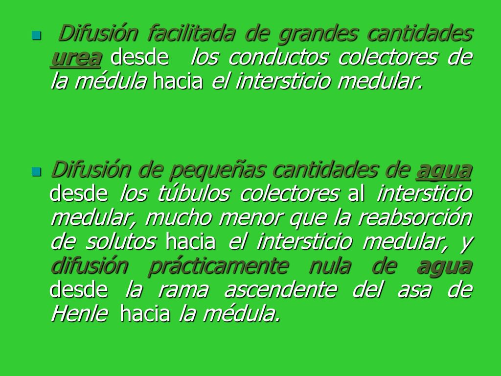 Difusión facilitada de grandes cantidades urea desde los conductos colectores de la médula hacia el intersticio medular.