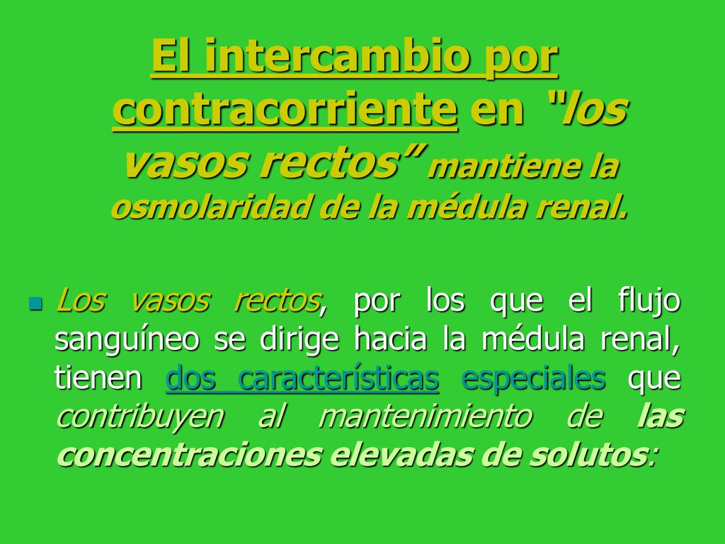 El intercambio por contracorriente en los vasos rectos mantiene la osmolaridad de la médula renal.
