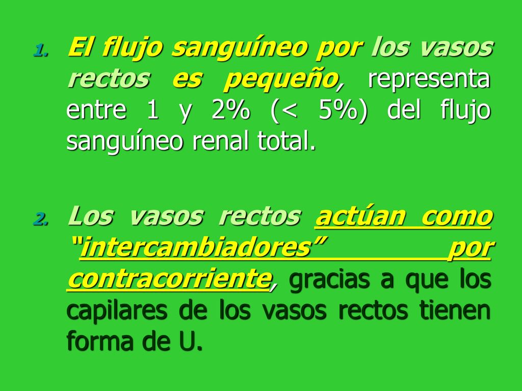 El flujo sanguíneo por los vasos rectos es pequeño, representa entre 1 y 2% (< 5%) del flujo sanguíneo renal total.