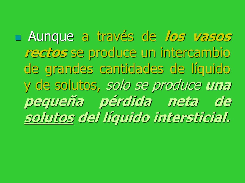 Aunque a través de los vasos rectos se produce un intercambio de grandes cantidades de líquido y de solutos, solo se produce una pequeña pérdida neta de solutos del líquido intersticial.