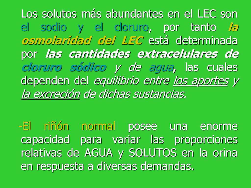 Los solutos más abundantes en el LEC son el sodio y el cloruro, por tanto la osmolaridad del LEC está determinada por las cantidades extracelulares de cloruro sódico y de agua, las cuales dependen del equilibrio entre los aportes y la excreción de dichas sustancias.