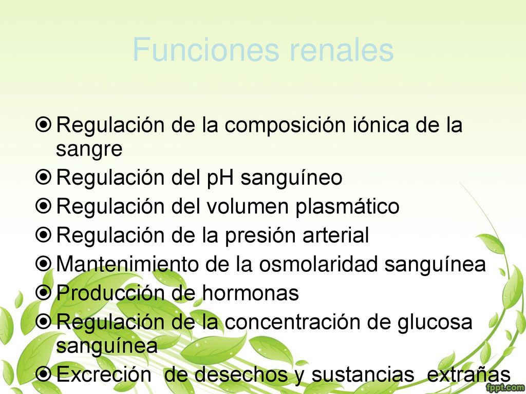 Funciones renales Regulación de la composición iónica de la sangre