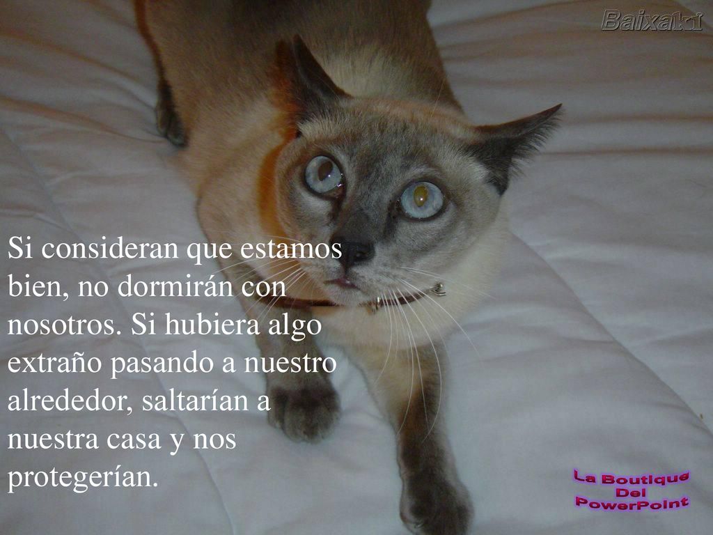 Si consideran que estamos bien, no dormirán con nosotros