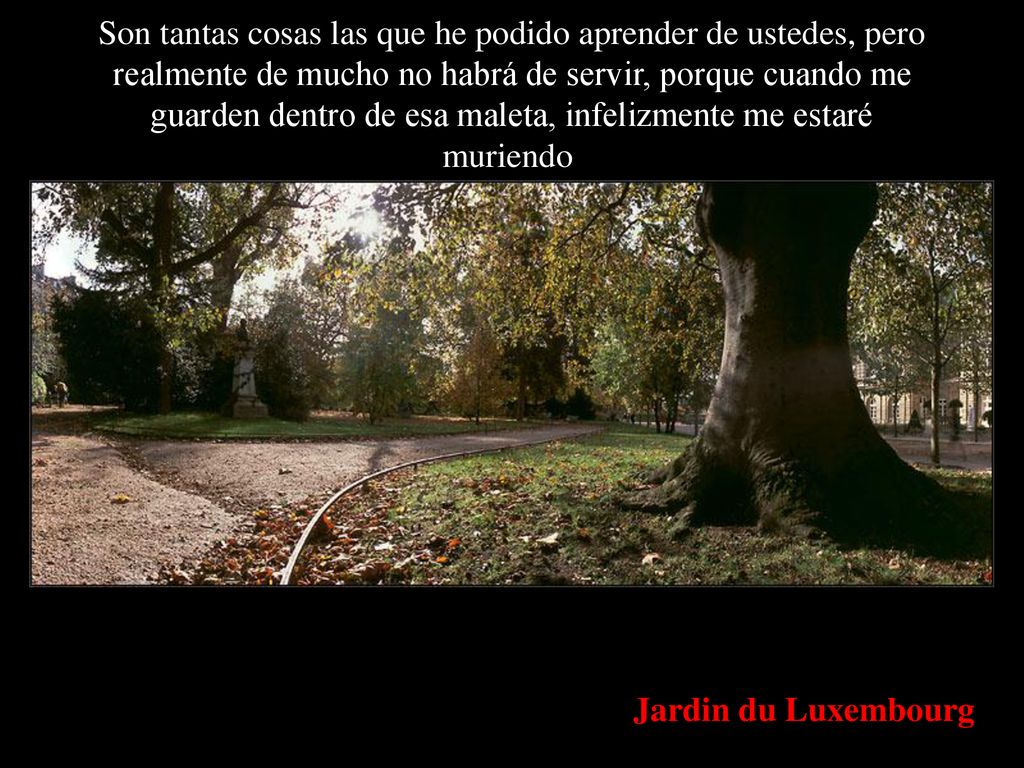 Son tantas cosas las que he podido aprender de ustedes, pero realmente de mucho no habrá de servir, porque cuando me guarden dentro de esa maleta, infelizmente me estaré muriendo.