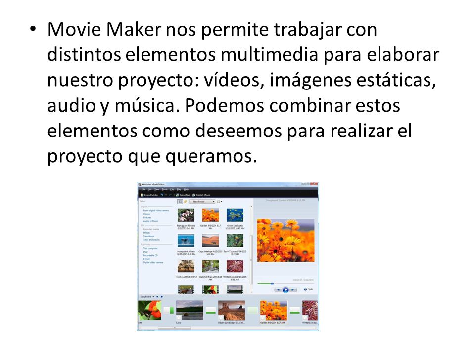 Movie Maker nos permite trabajar con distintos elementos multimedia para elaborar nuestro proyecto: vídeos, imágenes estáticas, audio y música.