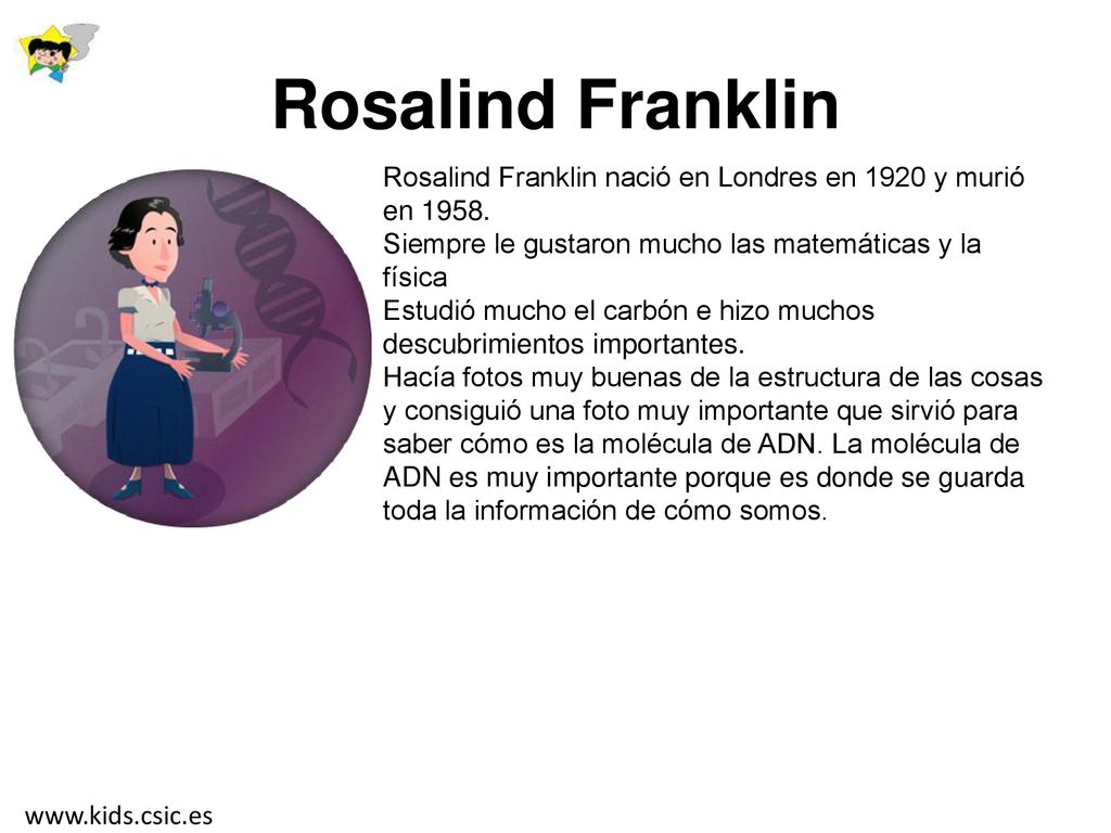 Rosalind Franklin Rosalind Franklin nació en Londres en 1920 y murió en Siempre le gustaron mucho las matemáticas y la física.