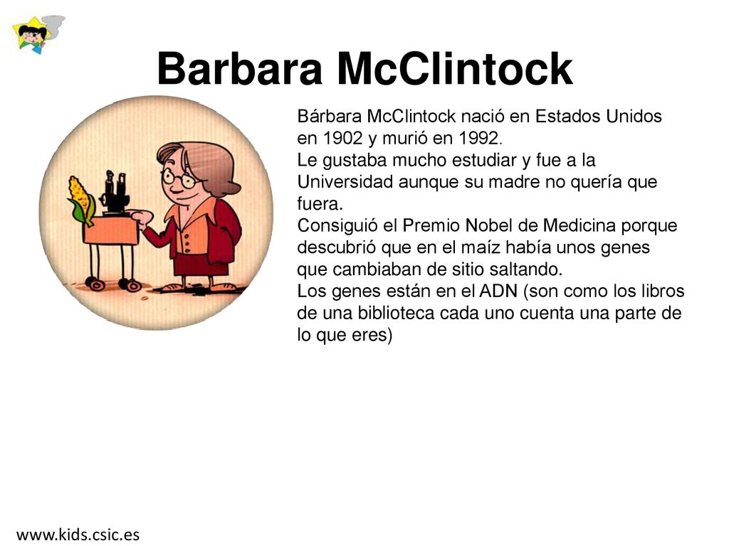Barbara McClintock Bárbara McClintock nació en Estados Unidos en 1902 y murió en