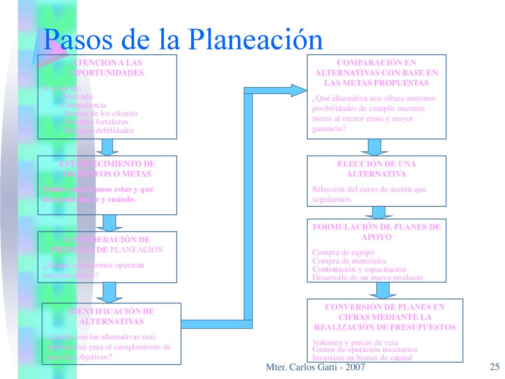 Pasos de la Planeación Mter. Carlos Gatti