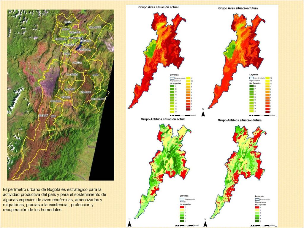 El perímetro urbano de Bogotá es estratégico para la actividad productiva del país y para el sostenimiento de algunas especies de aves endémicas, amenazadas y migratorias, gracias a la existencia , protección y recuperación de los humedales.