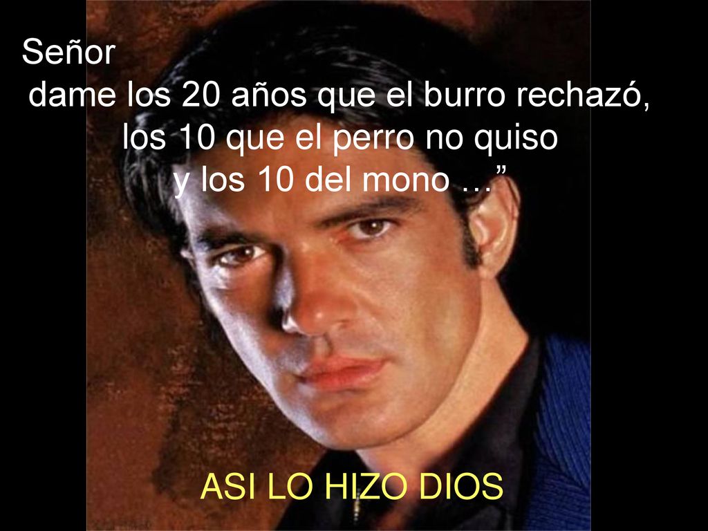 dame los 20 años que el burro rechazó, los 10 que el perro no quiso