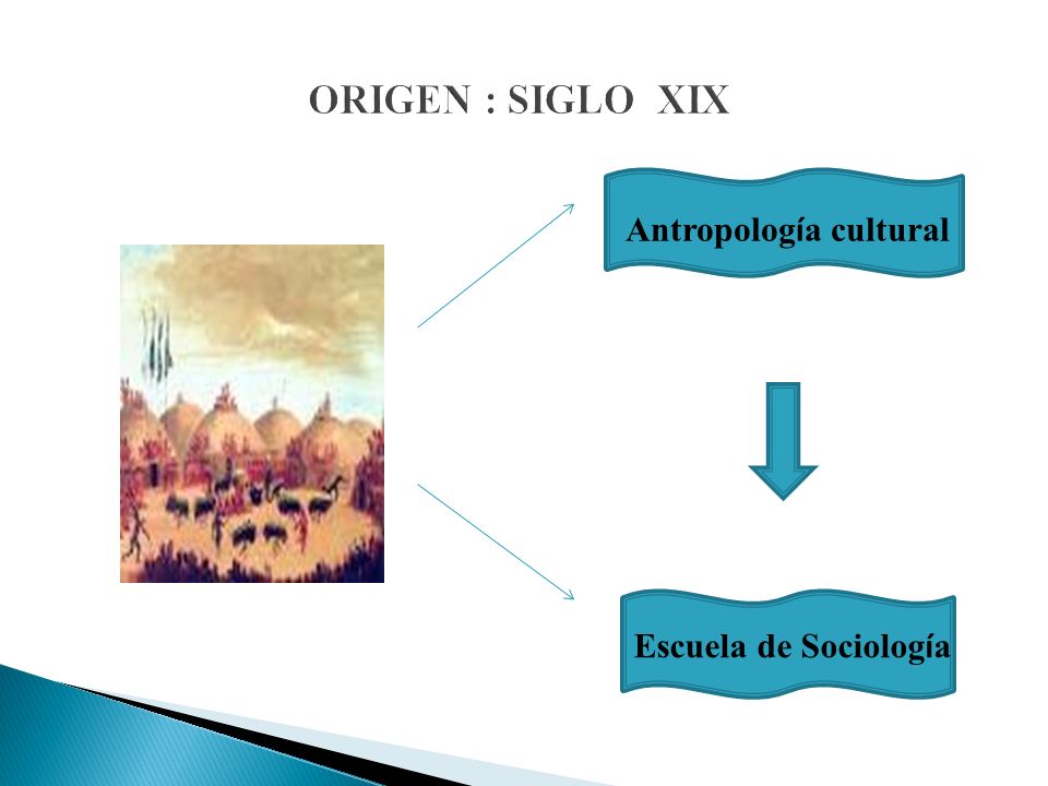 ORIGEN : SIGLO XIX Antropología cultural Escuela de Sociología