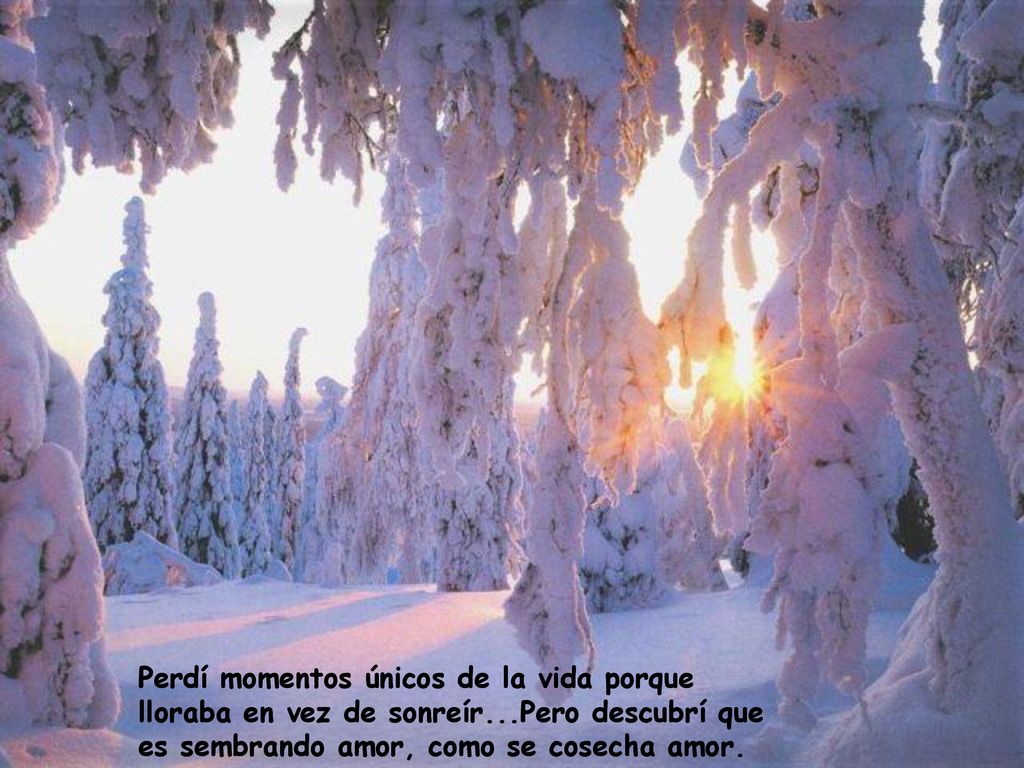Perdí momentos únicos de la vida porque lloraba en vez de sonreír