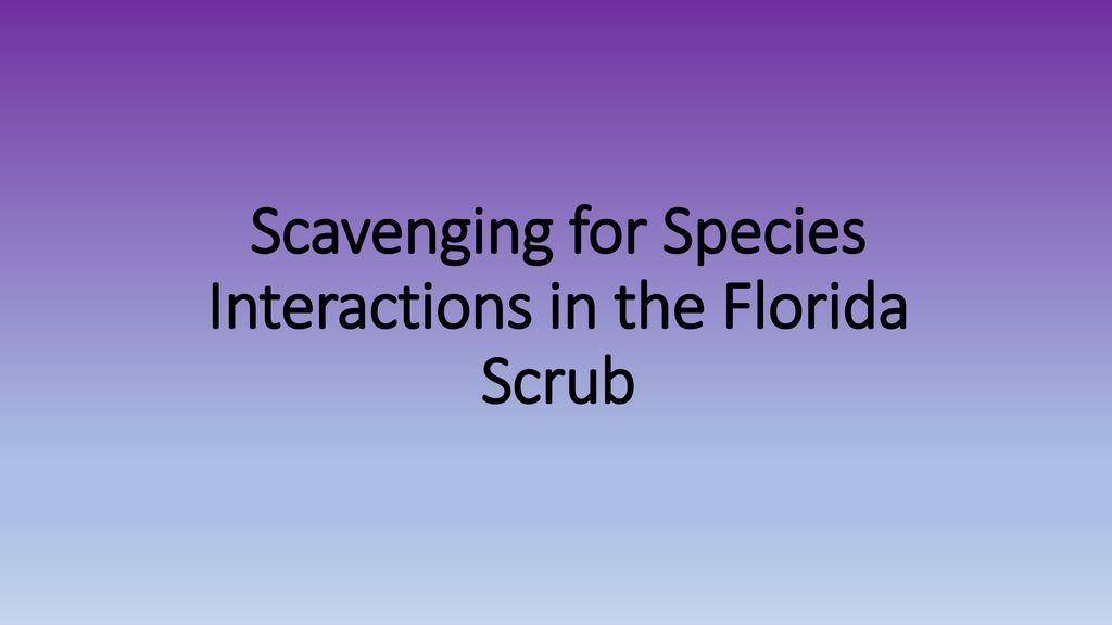 Scavenging for Species Interactions in the Florida Scrub